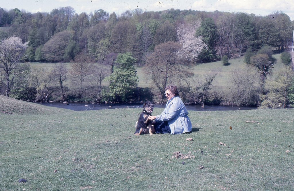 img098.jpg