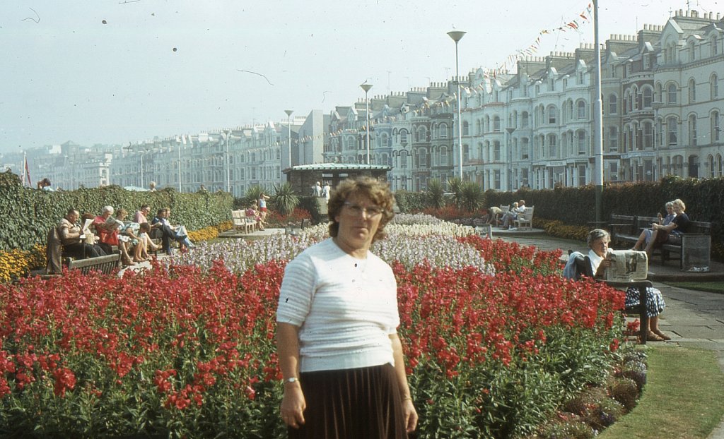 img108.jpg