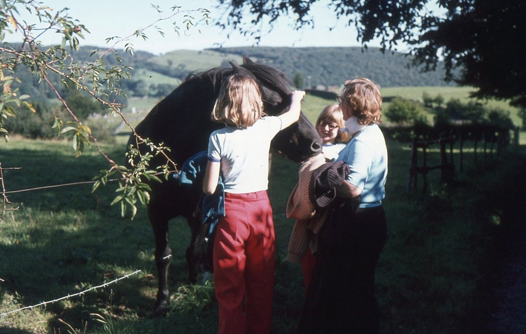 img027.jpg
