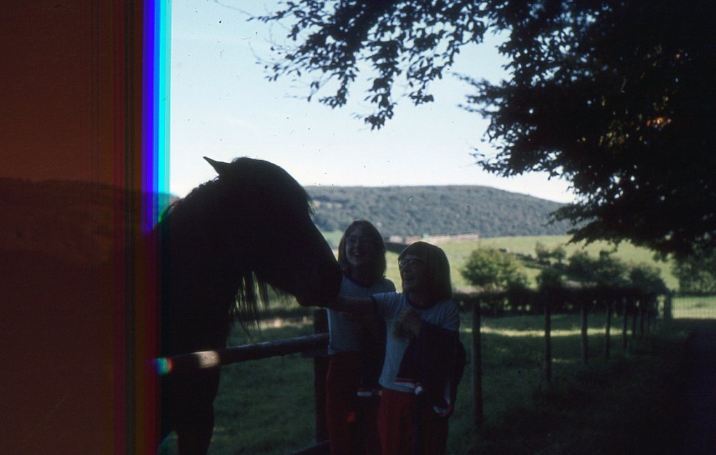 img028.jpg
